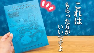 【ゆる動画】10周年の記念に！すみっコぐらしのノベルティ開封！！購入品紹介♪ fromegg