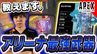 【APEX】SPYGEAがアリーナに参上！ある武器を使えば3000ダメージは余裕です【SPYGEA/スパイギア】