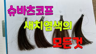 슈바츠코프 새치염색의 모든것!