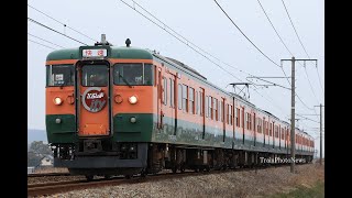 2025/2/1運転 115系湘南色団臨