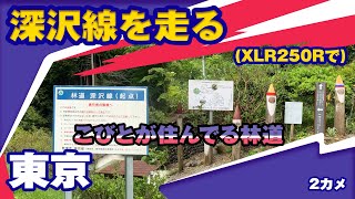 【ツーリング】XLR250Rで林道　深沢線【林道】