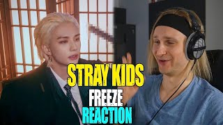 Stray Kids FREEZE | reaction | Проф. звукорежиссер смотрит