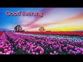 Good Evening Video | #goodeveningwhatsappstatus