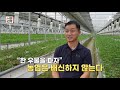 클로버 잎을 갈아서 가루로 만든다 네잎클로버가 식물성 단백질 보충제가 될 수 있다고 서민갑부 351 회