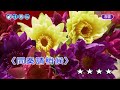 瀟灑走一回 男調 純伴奏 高音質 劉華山 錄作 youtube 360p