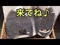 豊橋市　なんじゃす　ジーンズヤマト　豊橋南　bigjohn　マスク　コロナ対策