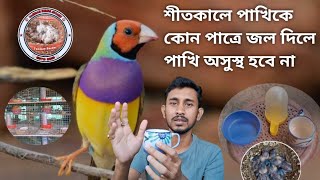 শীতকালে পাখিকে কোন পাত্রে জল দিলে পাখি অসুস্থ হবে না ? [Winter season Birds Care] Information Video.