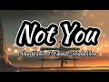 Not You - Alan Walker & Emma Steinbakken (Lyrics)