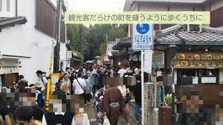 京都・嵯峨野【祇王寺】の苔庭