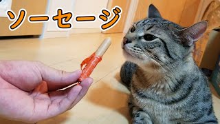 猫に初めてソーセージをあげた結果がこちら！