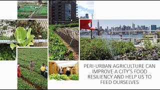 Using Peri-Urban Agriculture to Build Resiliency In Cities