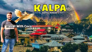 Can a Parrot Adapt to Life in Himachal’s Mountain Range? | Most beautiful village kalpa | Kinnaur