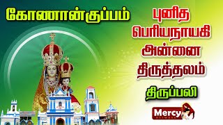 🅻🅸🆅🅴 - 11-02-2025 | புனித லூர்து அன்னை பெருவிழா | புனித பெரியநாயகி அன்னை திருத்தலம், கோணான்குப்பம்