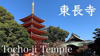 東長寺　Tocho-ji Temple in Hakata.　Here are some recommended sightseeing spots in Fukuoka.