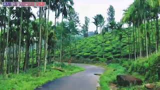 ചെമ്പ്ര പീക്ക് റോഡ്, മേപ്പാടി | chembra peack road, meppadi #wayanad