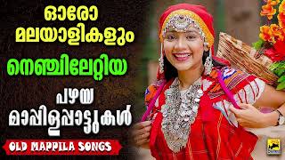 പഴയ മാപ്പിളപ്പാട്ടുകൾ  Mappila Songs | Pazhaya Mappila Pattukal | Old Mappila Songs | Old Is Gold