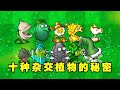 植物大战僵尸杂交版：盘点杂交植物不为人知的小知识！