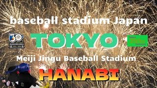 baseball stadium Japan HANABI Tokyo Yakult Swallows summer event