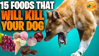 15 Foods That Will Kill Your Puppy or Dog