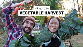 Harvesting from the garden grocery store 🥦🥕 🥬 Fall vegetables // GroundedHavenHomestead