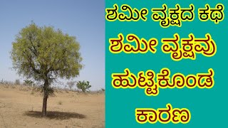 ಶಮೀ ವೃಕ್ಷದ ಕಥೆ|ಶಮೀ ವೃಕ್ಷ ಹುಟ್ಟಿಕೊಂಡ ಕಾರಣ|ಶಮೀ ವೃಕ್ಷವನ್ನು ಪೂಜಿಸುವುದರ ಹಿಂದಿನ ಕಾರಣ|ಮಧ್ವ ಭಕ್ತ ವೃಂದ