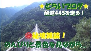 【どらいブログ】酷道445号線を走りつつ雑談☆彡（ドリンクレポ有り）