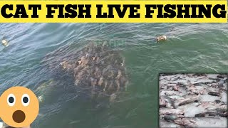 Cat Fish Live Fishing | ખાગા માછલી પકડી દરિયા માથી દ્વારકા વ્લોગ | deep sea fishing from shore