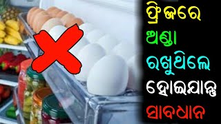 ଫ୍ରିଜରେ ଅଣ୍ଡା ରଖୁଥିଲେ ହୋଇଯାନ୍ତୁ ସାବଧାନ // Be careful when laying eggs in the fridge