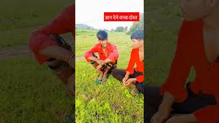 #New funny #video ll Singaruli comedy #varll #short video #singrauli #funnycomedy video