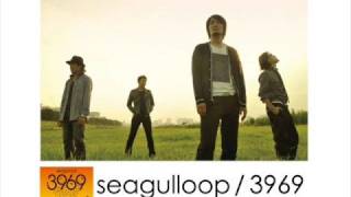 Seagulloop