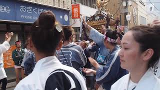 荻窪　白山神社　令和元年　例大祭　本社神輿　2019/9/7  Ogikubo Hakusan Jinja Festival 12