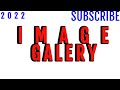 AMAZING CSS Image Gallery WITH CSS GRID ONLY | 2022