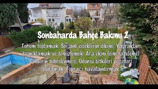 Bahçemize Sonbahar dokunuşu 2 (Sonbaharda Bahçe Bakım Zamanı 2)