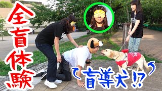 【視覚障害】全盲女子と盲導犬男子になってみた！w【目隠し全盲体験】