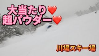 【紹介】1月4日は大当たりだった件について