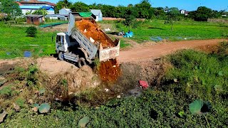 Nice Activities Start New Project Landfill Delete Dirt Water Dozer Komatsu In Flooded Area \u0026Truck 5T