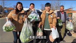 小遥一家给您拜年啦，大院贴春联挂彩灯真喜庆，大棚摘菜给父母送【农村小遥】