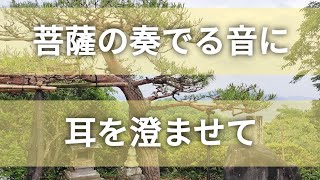 【松風山 音楽寺】秩父三十四観音霊場 第二十三番札所 聖観世音菩薩 臨済宗南禅寺派 慈覚大師 松風の音 鐘楼堂 観音堂 神社仏閣巡り 御朱印