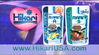 Hikari Marine S \u0026 Marine A Fish Food Feeding