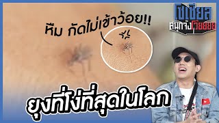 ยุงที่โง่ที่สุดในโลก!! : โซเชียลสนุกจังโว้ย l VRZO