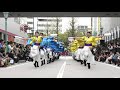 皇學館大学よさこい部″雅″（星瞬） 2019.11.24四日市よさこい 駅前パレード会場