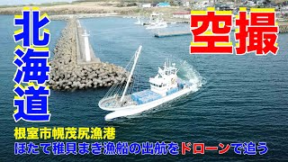 【空撮】漁船の出航と帰港 - ほたて稚貝まき |#Fisherman【道東田舎暮らし】根室 | 根室湾 | 幌茂尻漁港