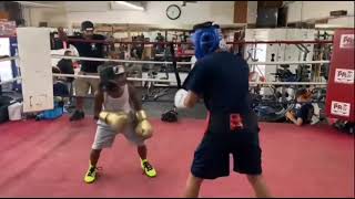 복싱 해외 영재 어린이 스파링 boxing sparring