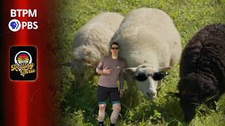 I Rode Deeper Into the Hudson Valley—And Found What We’re Losing | Rolling Thru PBS