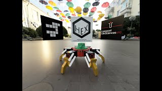 Hexapods 2022