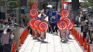 チーム☆利ゑ蔵さん 深川よさこい祭り 富岡八幡