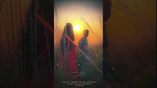 Lisoy Losoy Panchi Saree|| Santali status|| Jaher Salim Official #lovesong #romantic #love #oldsong