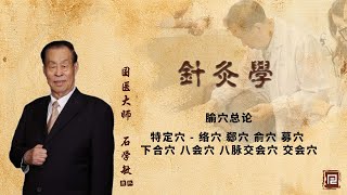 石学敏团队讲针灸学 - 15 腧穴总论（三） 特定穴   络穴 郄穴 俞穴 募穴 下合穴 八会穴 八脉交会穴 交会穴