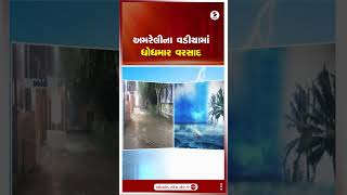 Amreli | અમરેલીના વડીયામાં ધોધમાર વરસાદ | Monsoon 2024 | Gujarat Rain | Weather Update