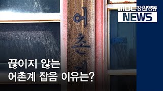 [뉴스리포트]끊이지 않는 어촌계 잡음 이유는?190814